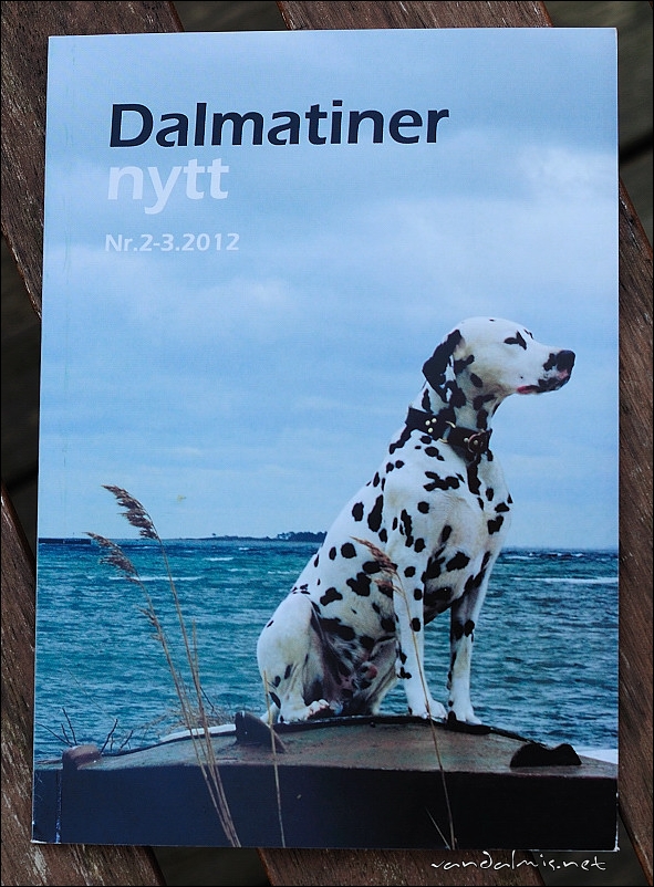 dalmatinernytt-forside-2012-09-03-004.jpg