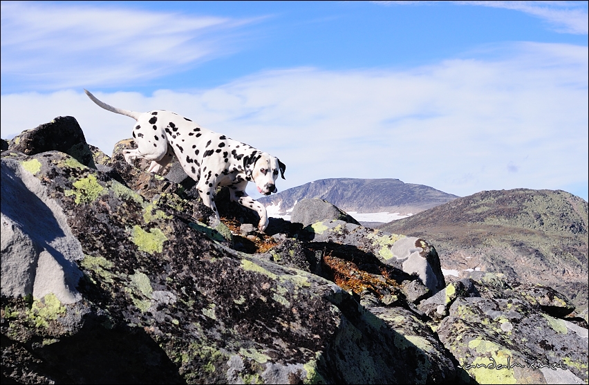 Jotunheimen-med-Catalina-2013-2013-08-31