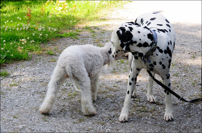 Oppe-kommer-hjem-2014-06-15-093.jpg